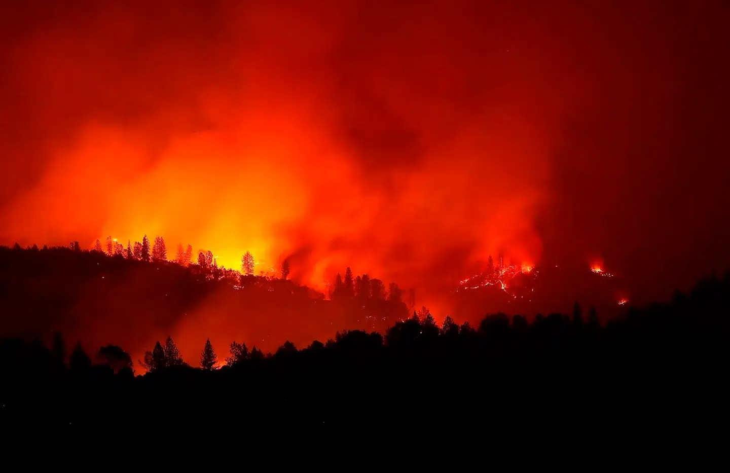 Branden Camp Fire hærger i den nordlige del af Californien. Sydligere er det to andre brande, der sender folk fra hus og hjem