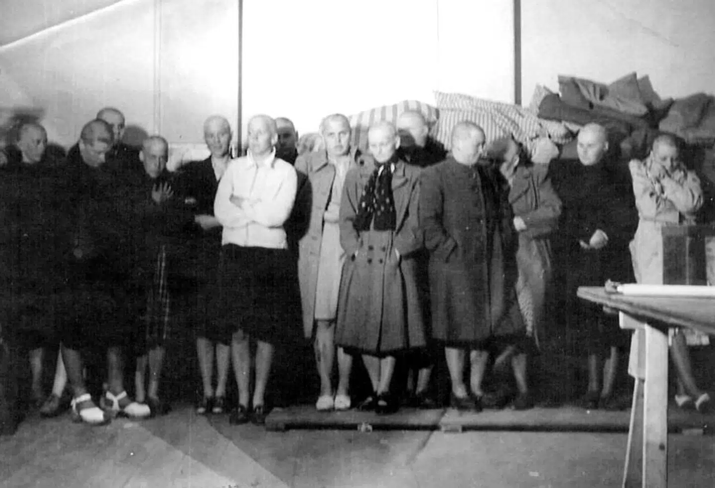 Tyskerpiger blev klippet - og tusinder blev også interneret efter besættelsen. Her er et gruppebilede af tyskerpiger, der har fået klippet håret af.