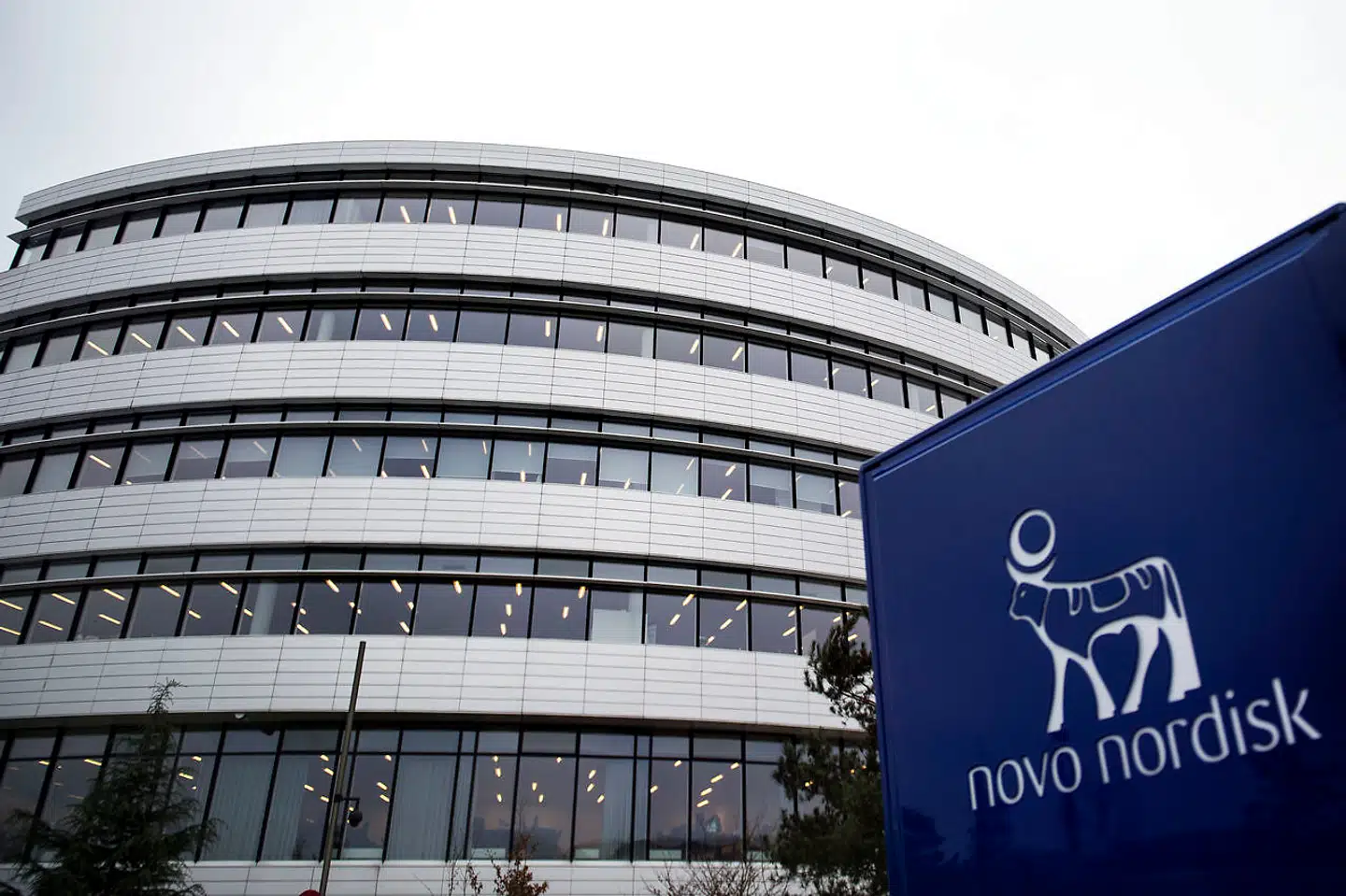 Novo Nordisk står til at tabe markedsandele, efter der er opstået øget konkurrence om diabetesmedicin.