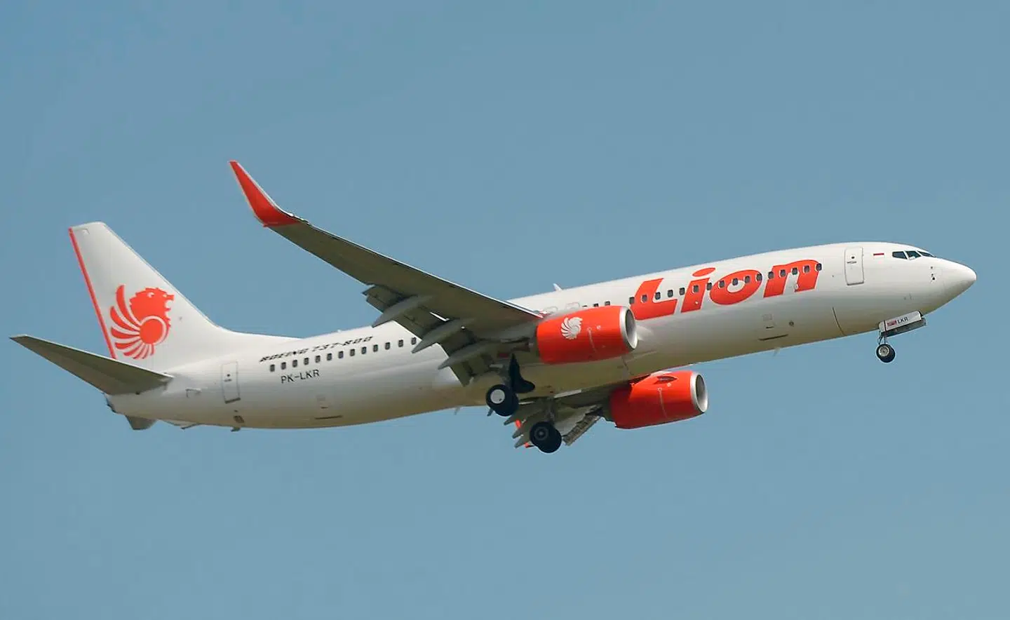 Flyet var en ny model, der siden august i år har fløjet for Lion Air.