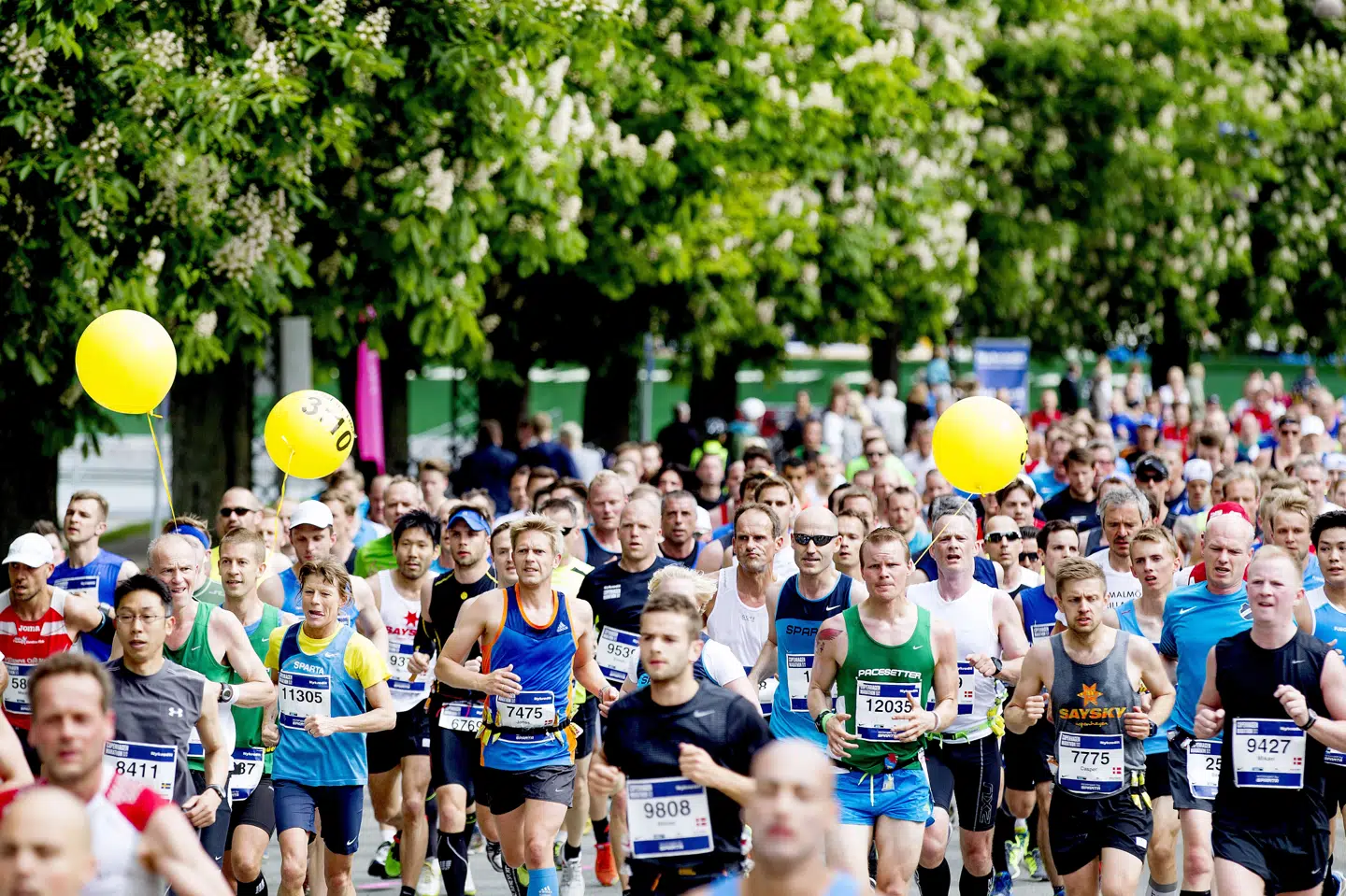 Ondt i ryggen, et ødelagt knæ eller bøvl med menisken. Løb er en sportsgren med stor risiko for skader, og mange kommer til at gå for hurtigt eller ensidigt frem i træningen. Bax Lindhardt/arkiv/Ritzau Scanpix