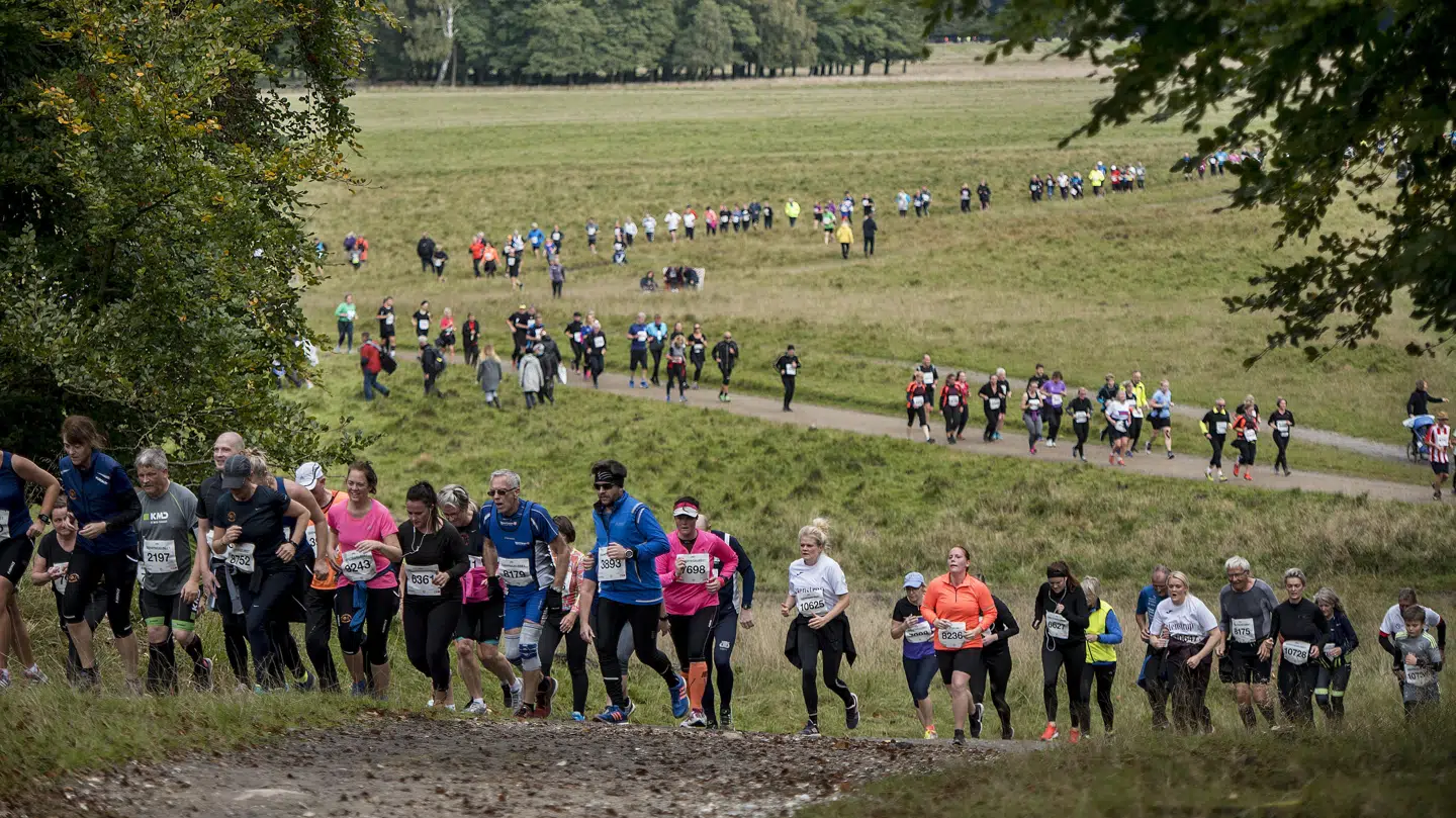 Eremitageløbet i den ikoniske Dyrehave er et eventyr og fejrer 50 års jubilæum. Siden 1969 har 656.507 løbere i alderen 4-96 år gennemført verdens ældste motionsløb.