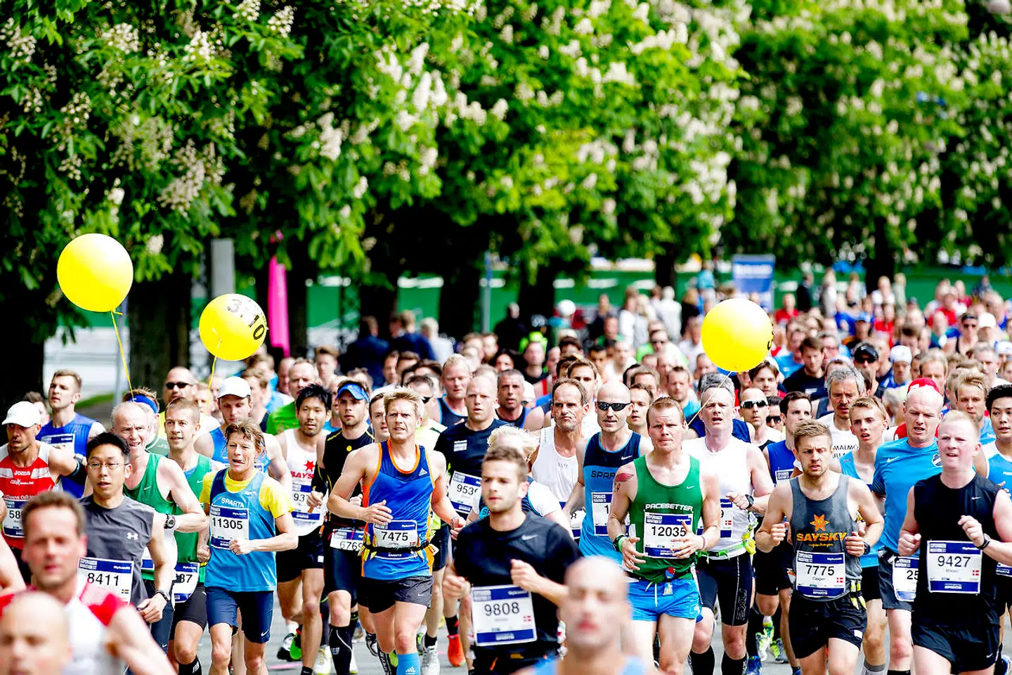 Thomas Milsted er ikke ude på at forbyde toplederene at løbe maraton. Men de skal være opmærksomme på, hvilke signaler de sender videre ned i systemet.