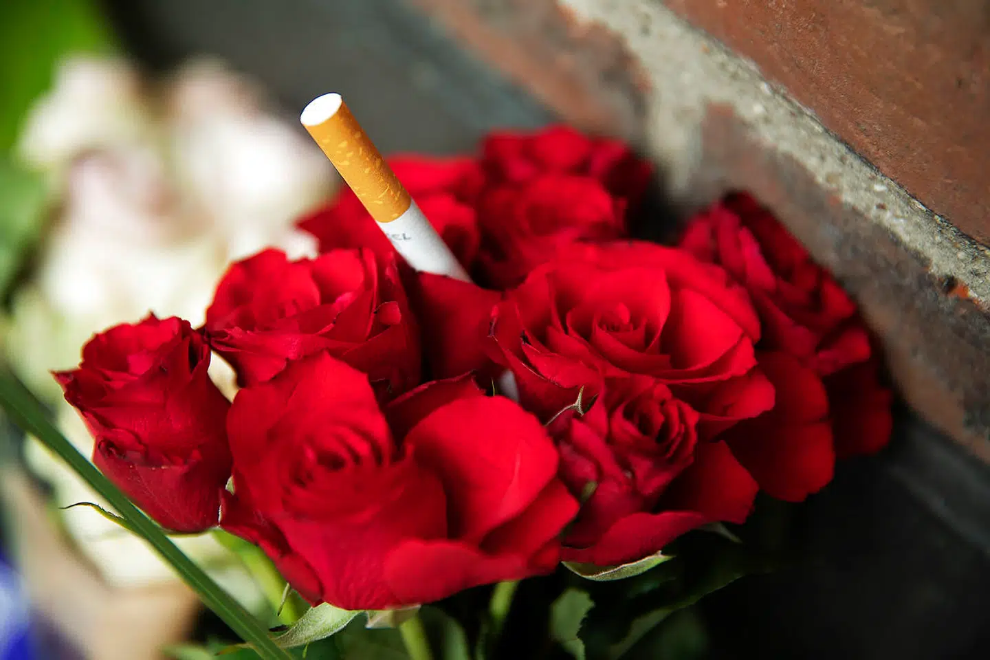 Billeder her er fra Odense søndag.