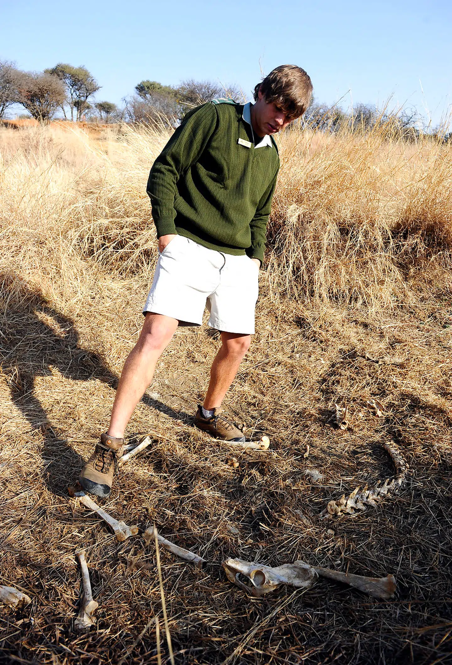 En vildtranger står ved resterne af en løve i Sydafrikas Dinokeng Game Reserve, 50 km nord for Pretoria. De døde dyr bliver sendt til asien, hvor de bliver brugt til traditionel medicin.