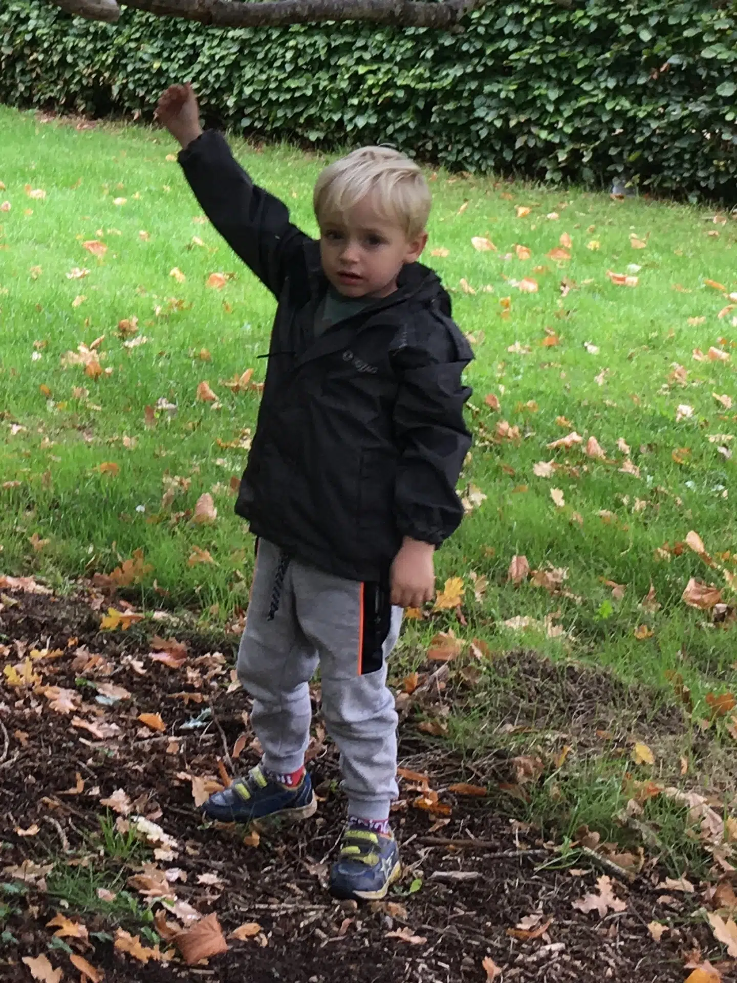 Ole Christiansen fra Nørresundby fik et chok, da hans treårige søn, Philip, forleden - i al hast - blev kørt til Giftlinjen på Aalborg Sygehus efter at have spist frø fra et stort træ i børnehaven.