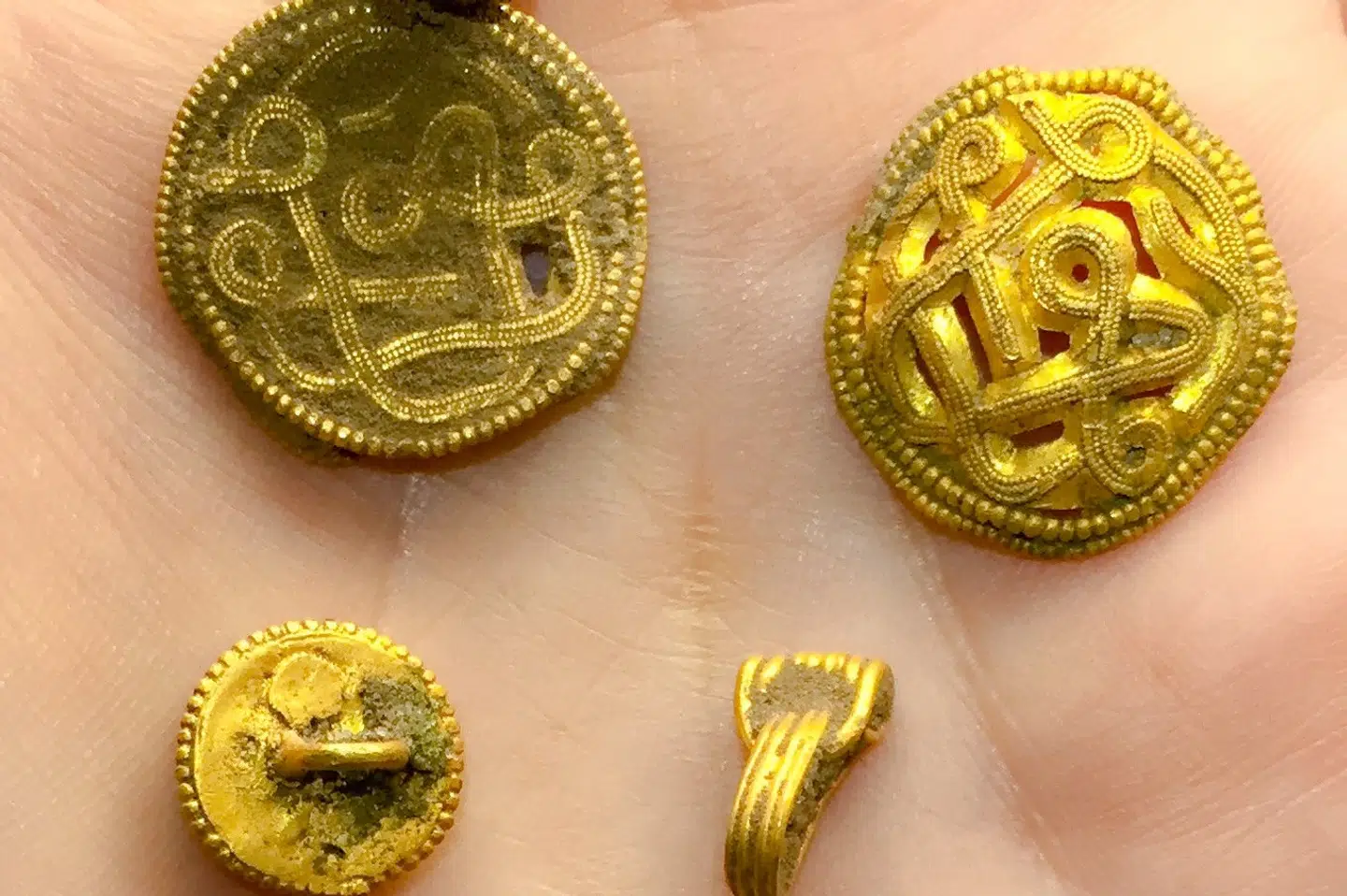 Amatørarkæologer udstyret med metaldetektorer har gjort et enestående guldfund på øen Hjarnø i Horsens Fjord. Her ses nogle af de fundne guldsmykker. VejleMuseerne/Free