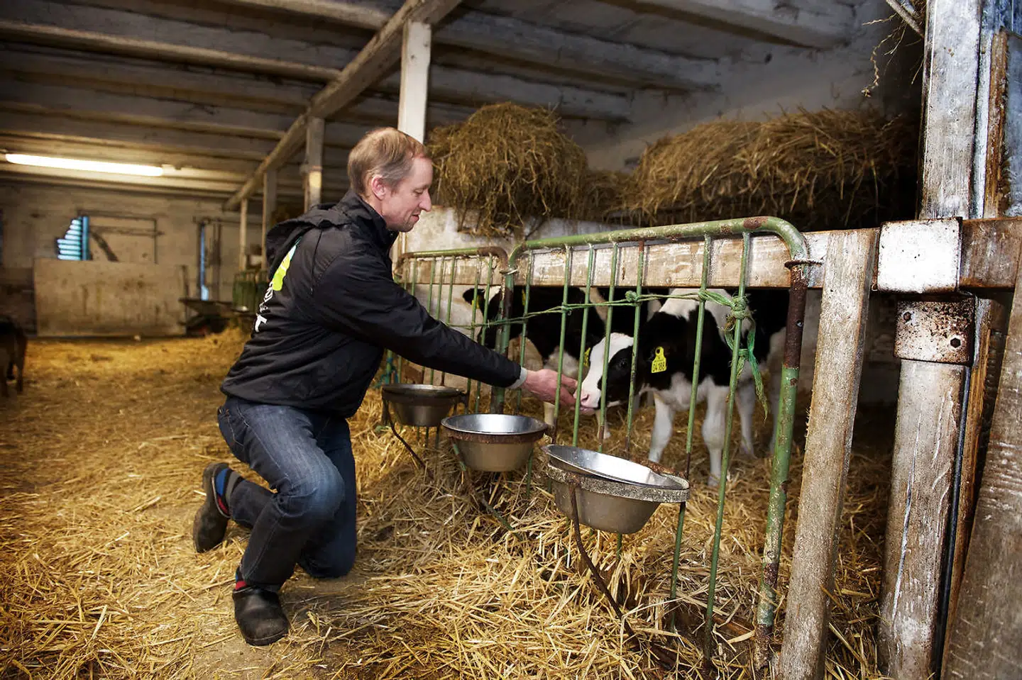 Ole Andersen har i mange år haft malkekøer, men nu er det slut.