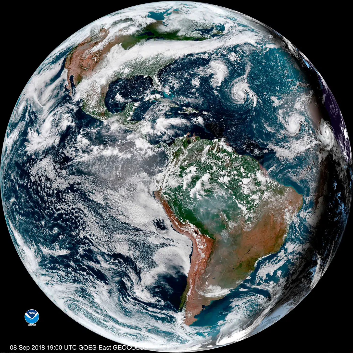 This enhanced satellite image made available by NOAA shows Tropical Storm Florence, third from right, in the Atlantic Ocean on Saturday, Sept. 8, 2018 at 3 p.m. EDT. At right, off the coast of Africa is Tropical Storm Helene, and second from right is Tropical Depression 9. Den amerikanske østkyst risikerer at blive ramt af en voldsom orkan i næste uge, forudser amerikanske meteorologer. Det skriver Ritzau, søndag den 9. september 2018.. (Foto: /Ritzau Scanpix)