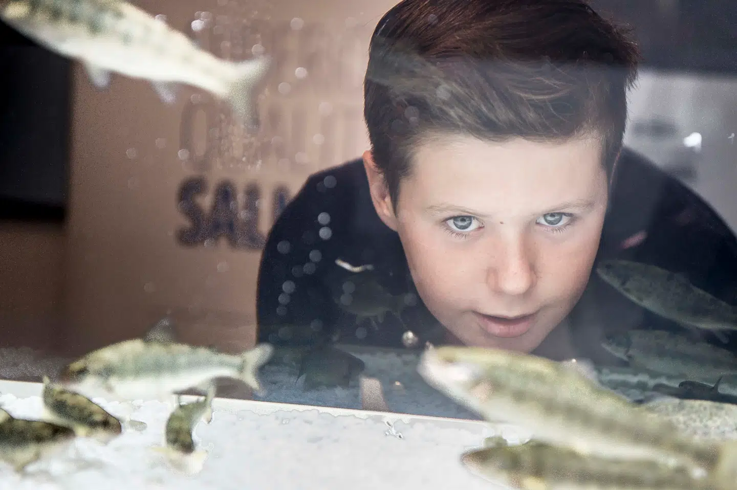 Prins Christian ser på fisk ved Bakkafrost.