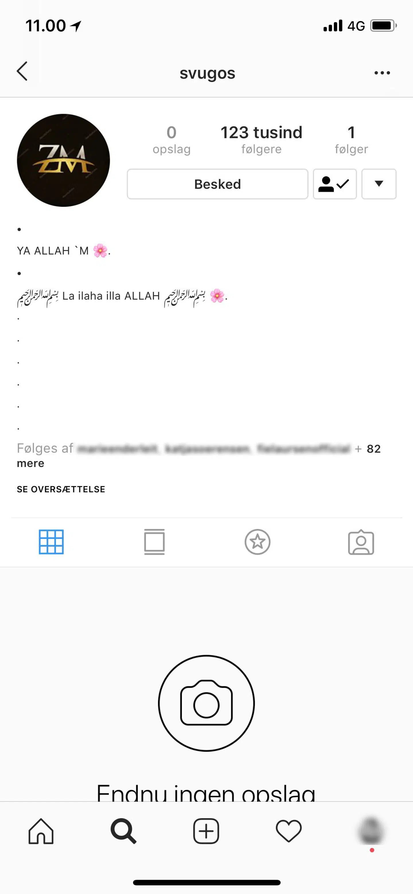 Sådan så Elvira Pitzners Instagram-profil ud, efter hun havde klikket på linket i den falske e-mail.