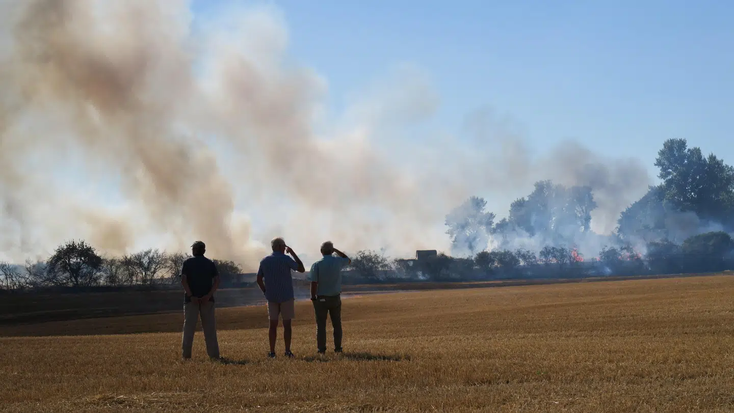 Markbrande, der skal slukkes, pools, der skal fyldes, og haver, der skal vandes, har sat et stort pres på vandværkerne denne sommer.