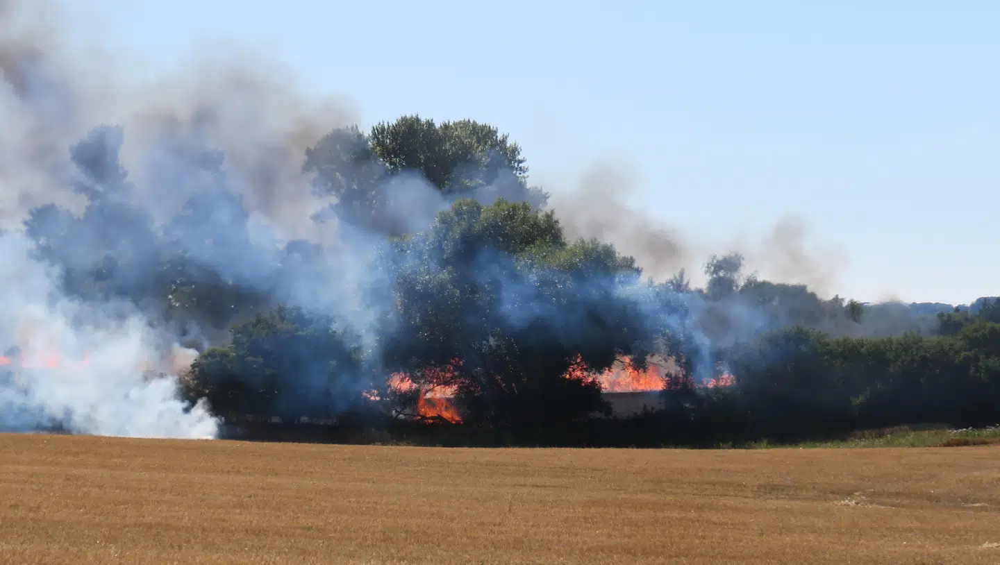 En markbrand i Nakke syd for Rørvig brændte tirsdag flere hektarer land af. Brandfolk nåede heldigvis at slukke branden, inden den spredte sig. Men slukningen har tæret på Rørvig Vandværk.