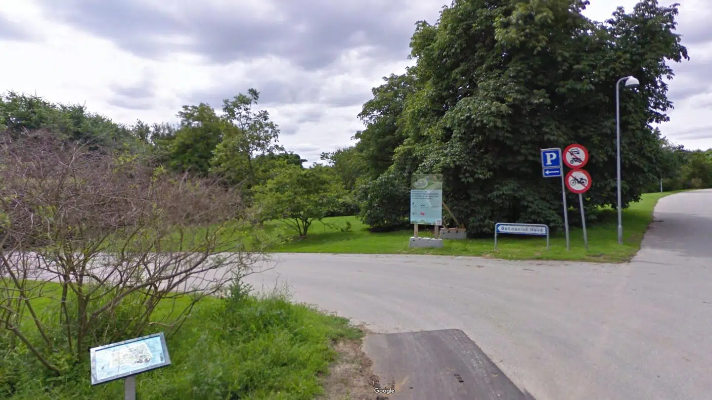 En 29-årig mand er sigtet for at have voldtaget en 26-årig kvinde i Botanisk Have i Aarhus natten til mandag.