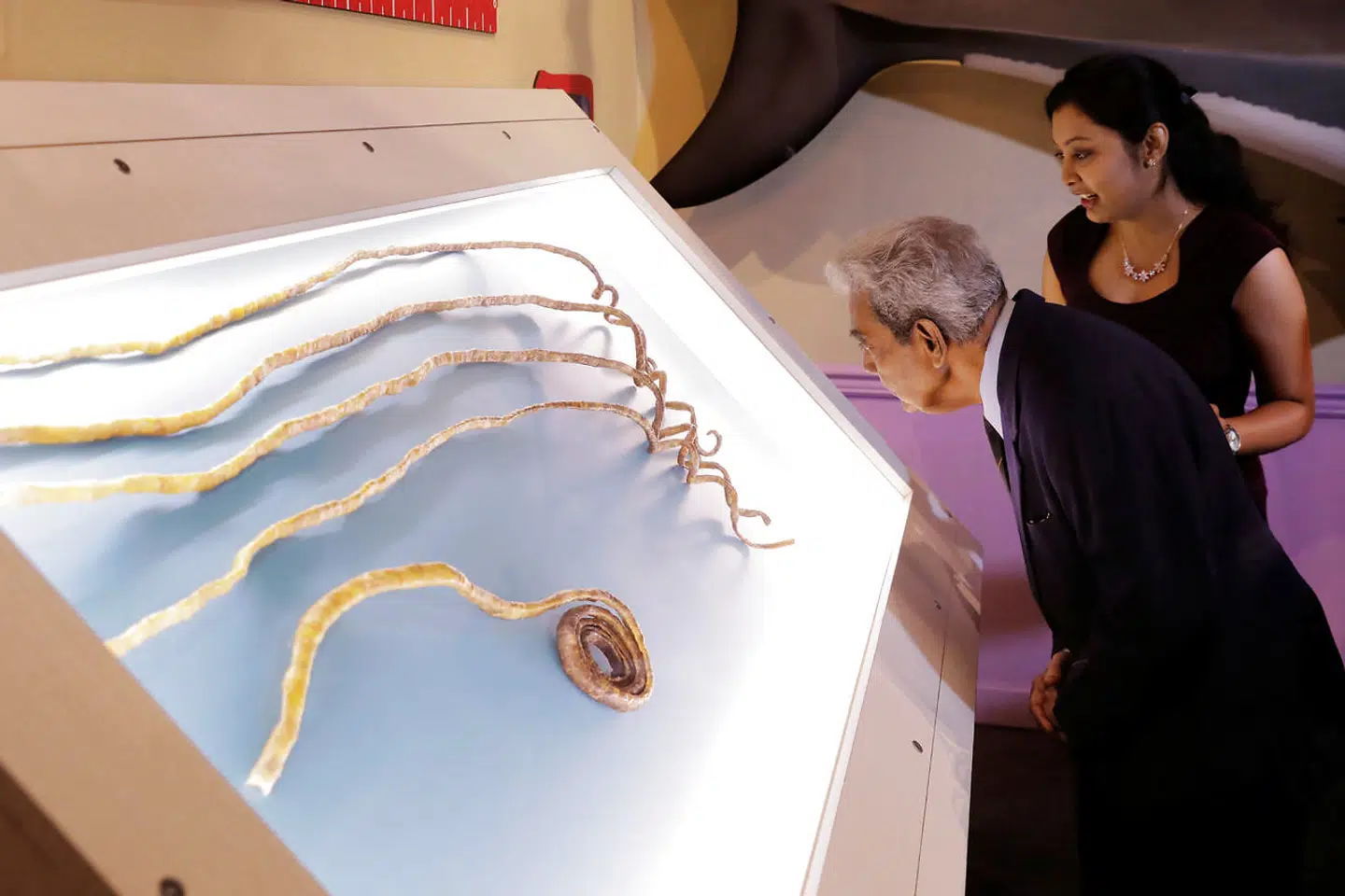 De tilsammen ni meter lange negle er blevet udstillet på Ripley's Believe It or Not!-museum i New York