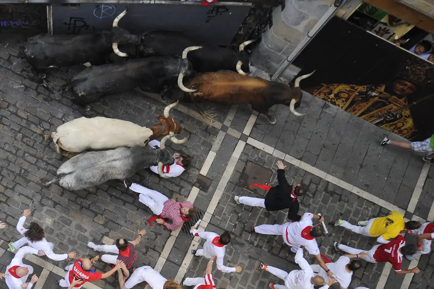 Tyrene skal atter løbe igennem Pamplonas gader, mens unge mænd udfordrer dem. Tyrene er på vej til en tyrefægterarena. Billedet er fra sidste års festival. Dette års festival er netop begyndt. Ander Gillenea/Ritzau Scanpix