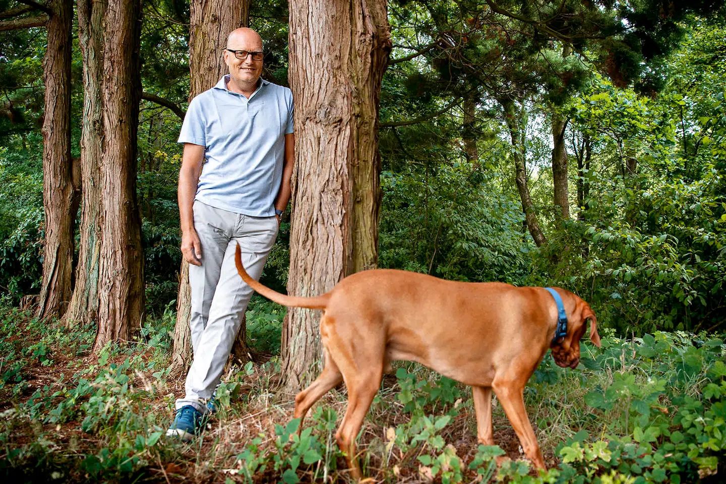 Bjarne Riis og hunden Buddy i hjemmet i Vejle.