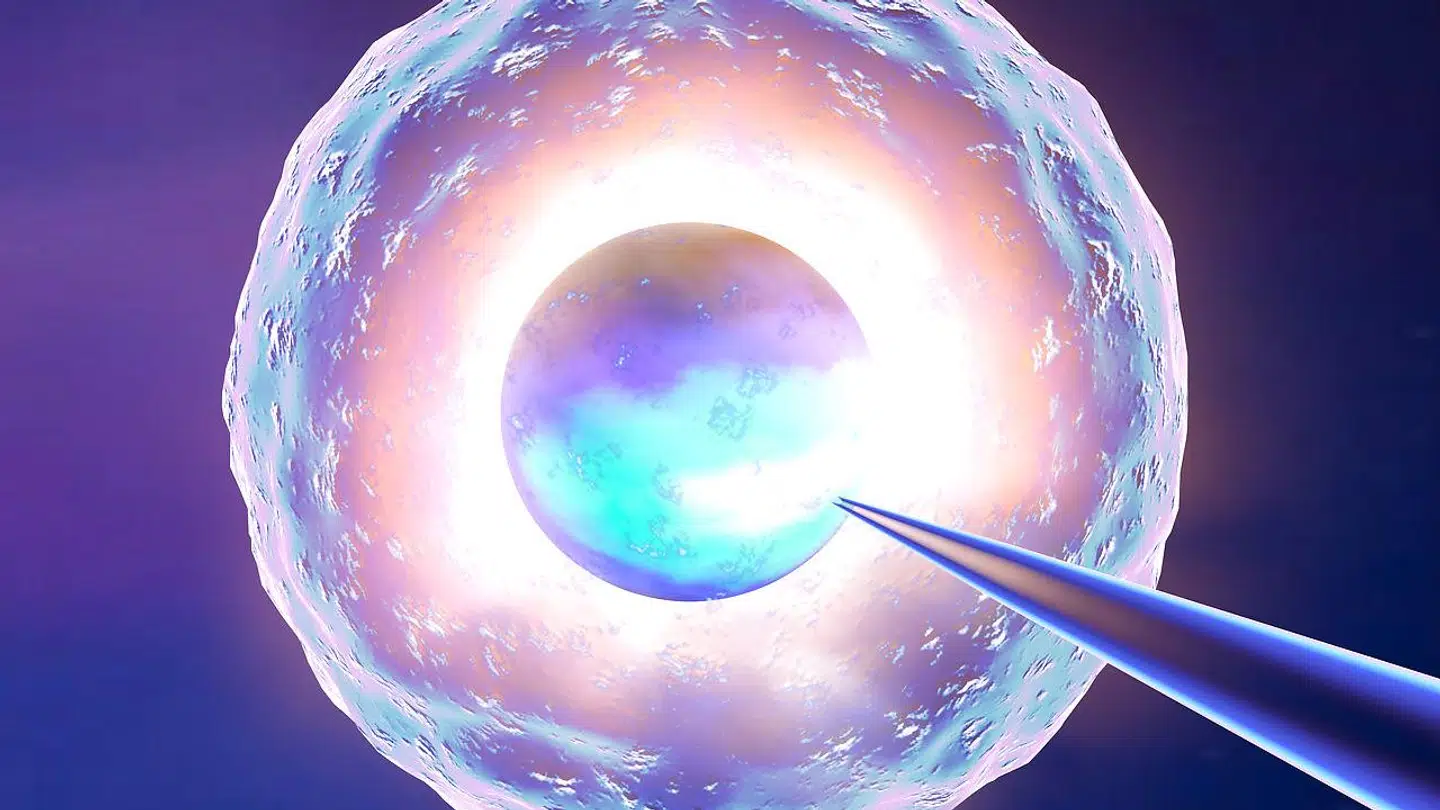 Al statistik viser, at det er stort set umuligt at blive gravid af naturlig vej efter 46 år, siger professor. Foto Iris.