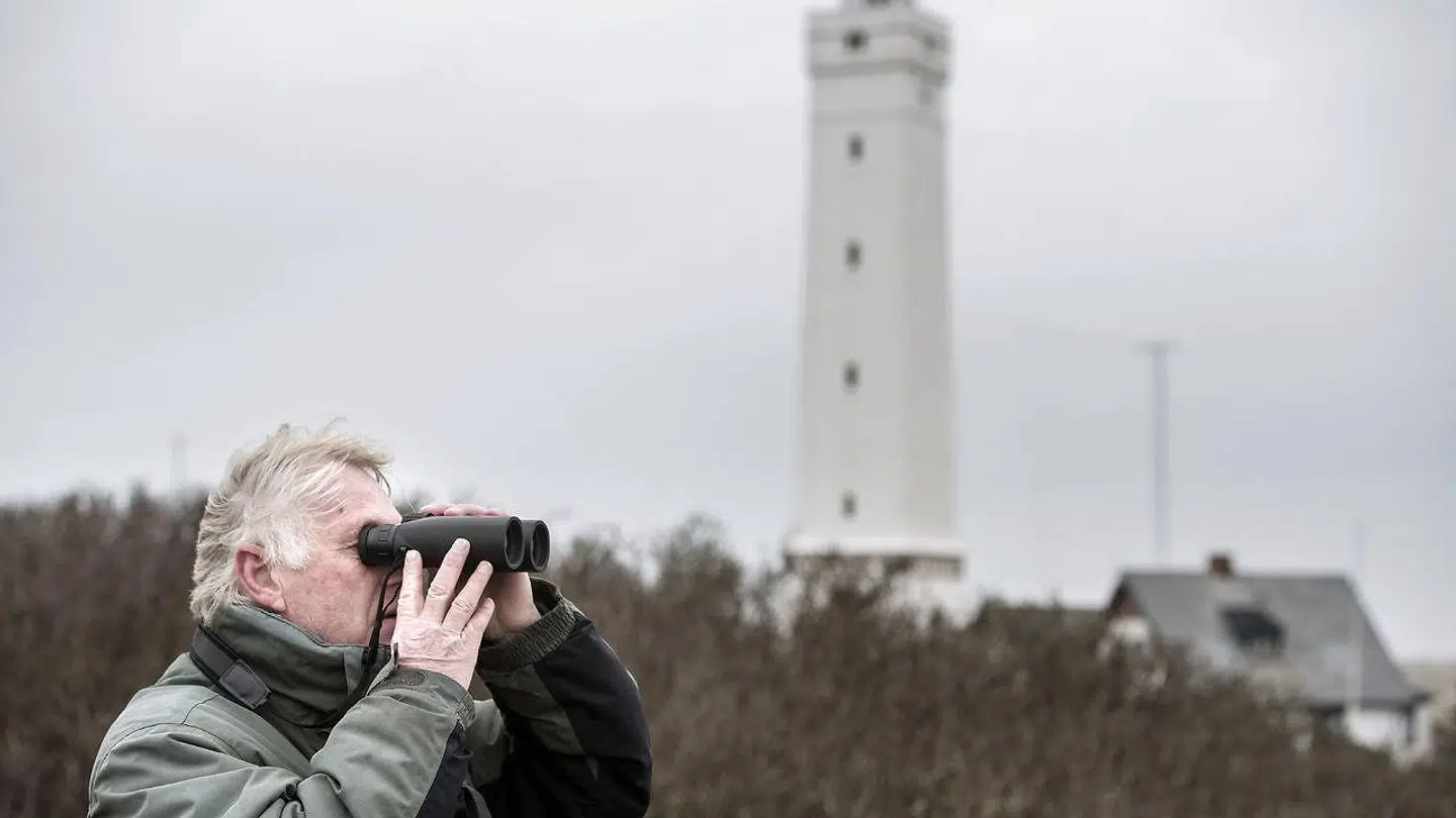 Arkivfoto. Blåvand Strand.