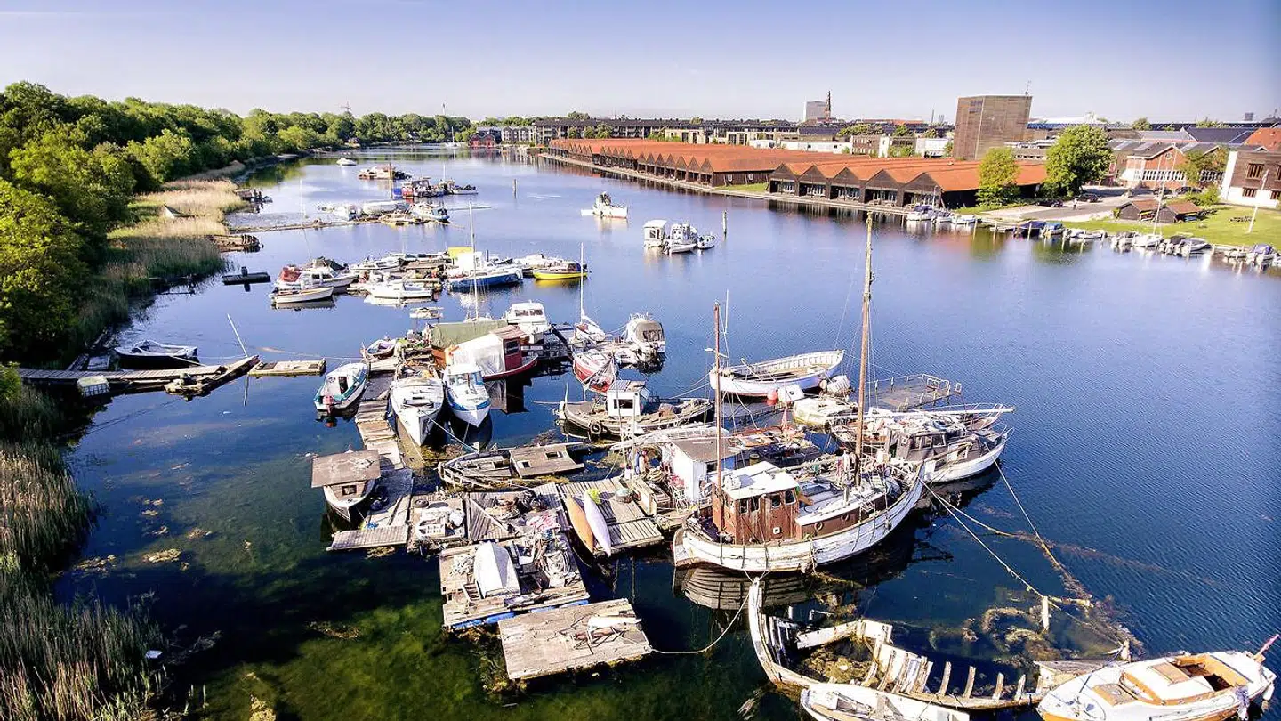 Fredens Havn set i fugleperspektiv fra nord mod syd. Første enklave af både har fået tilnavnet Pilen, imens de tre andre bådklynger hedder Krydset, Æseløen og Fiddler’s. Til højre i billedet ses Holmen, hvor mange beboere gerne vil have Fredens Havn fjernet. Foto: Nils Meilvang
