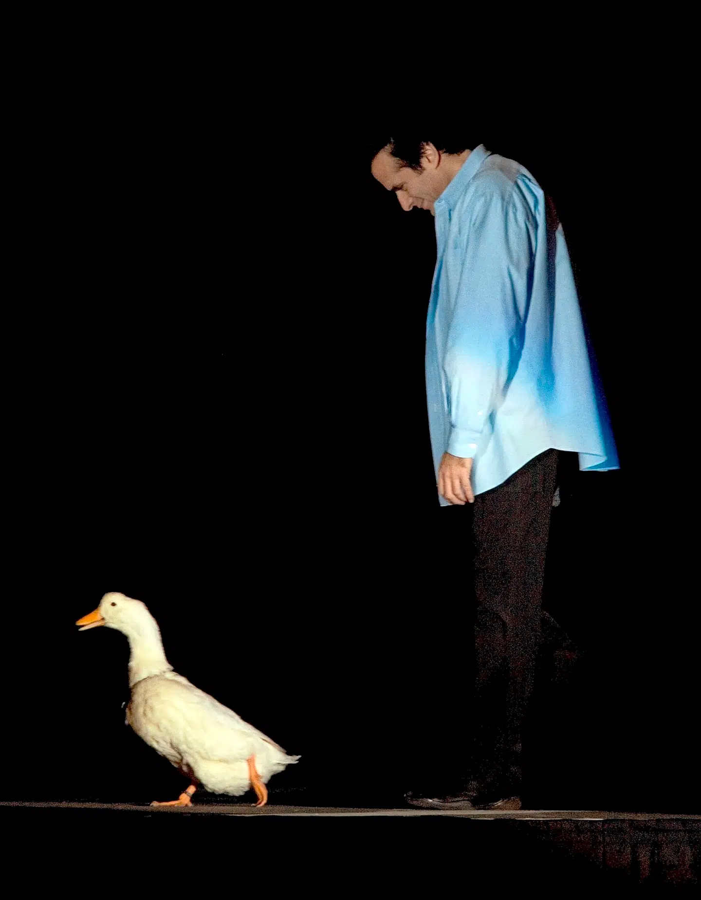 I ét af David Copperfields numre, tryller han en and ud af en lukket kasse og ned i en spand båret af en tilfældig person blandt publikum.