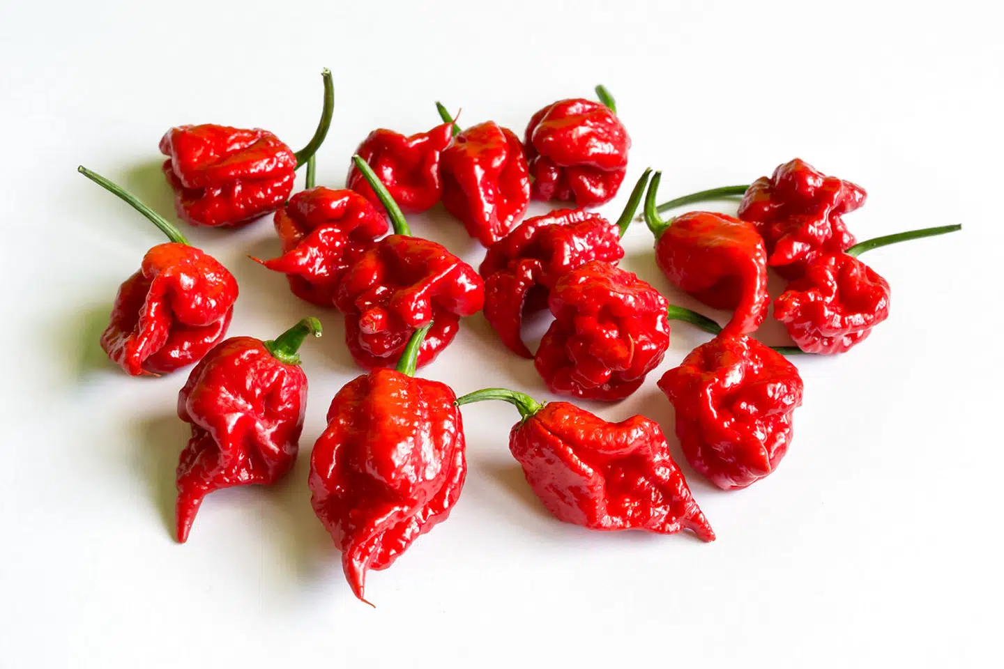 Her ses chilien 'Carolina Reaper'