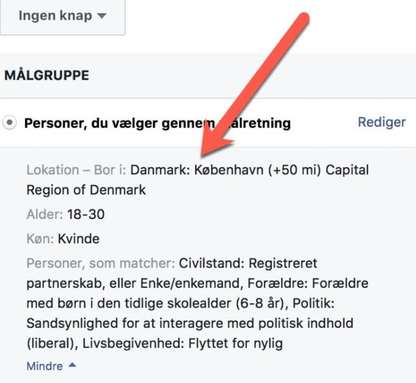 Ovenstående eksempel viser, hvordan annoncører kan målrette indhold på Facebook. Berlingske har fået tilsendt skærmbilledet af Benjamin Rud Elberth, ekspert i politisk kommunikation på sociale medier og tidligere ansat hos Socialdemokratiet.