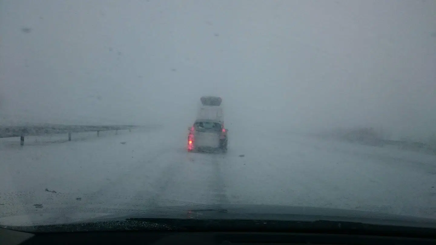 BT-læser Klaus Huus har sendt dette billede fra den 17/3, hvor flere biler kørte fast i sneen. Billedet her er fra strækningen Udby til Farø-broen i sydgående retning på motorvejen.