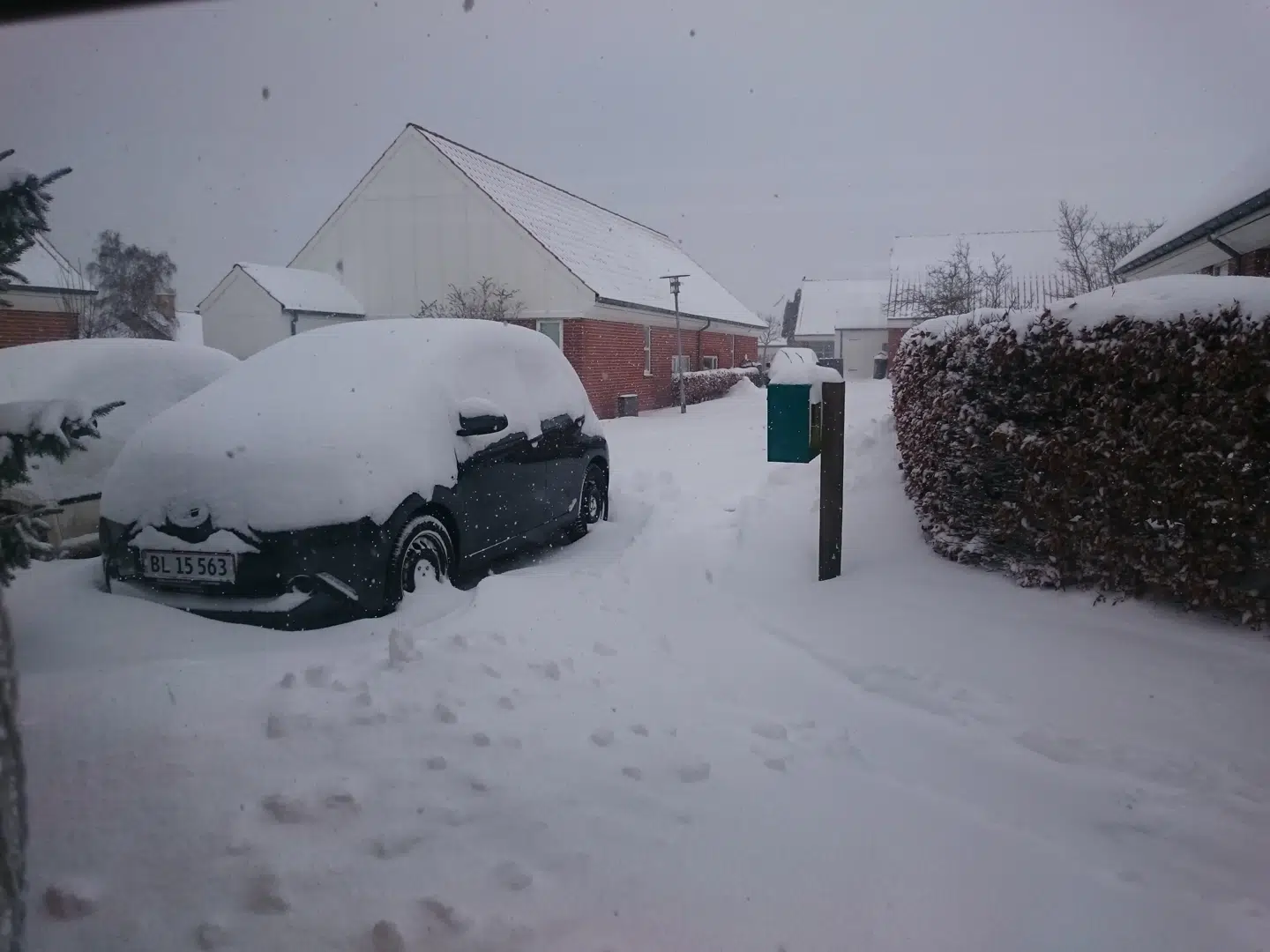 Læserfoto, tak til Helle på Bornholm