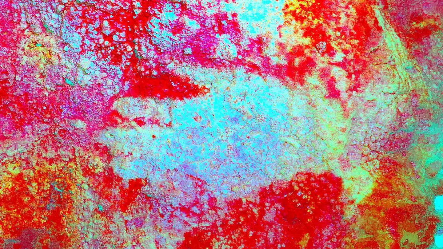 Det farveforstærkede håndaftryk i Maltravieso-grotten i Spanien er ifølge forskere lavet af en Neandertaler for mere end 67.000 år siden.