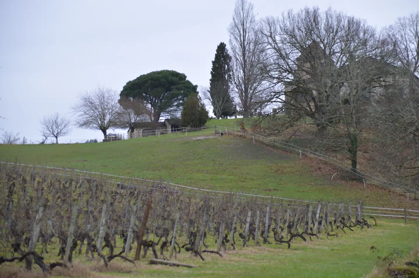 Le Cayrou, Monpezat-familiens gamle slot, der ligger i Albas – naboby til Cayx.