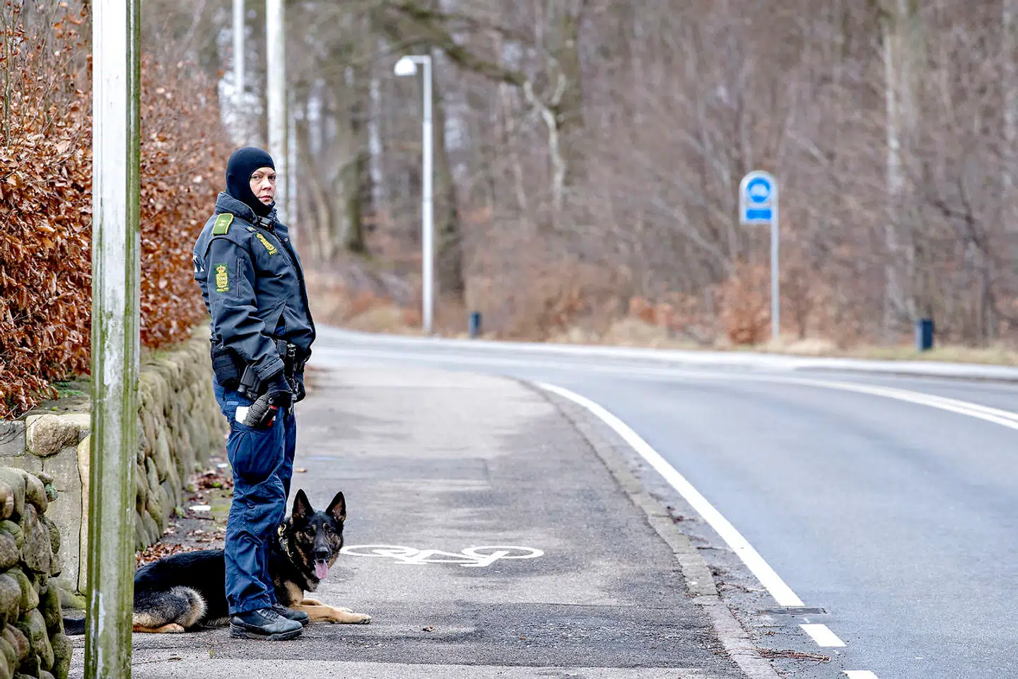 Betjent med hund ved Bidstrupvej i Birkerød, søndag den 18. februar 2018. Politiet har iværksat en en større menneskejagt, søndag den 18. februar 2018, efter en øksemand umotiveret overfaldt et 19-årigt par på Circle K-stationen på Bidstrupvej i Birkerød. (Foto: Bax Lindhardt/Scanpix 2018)