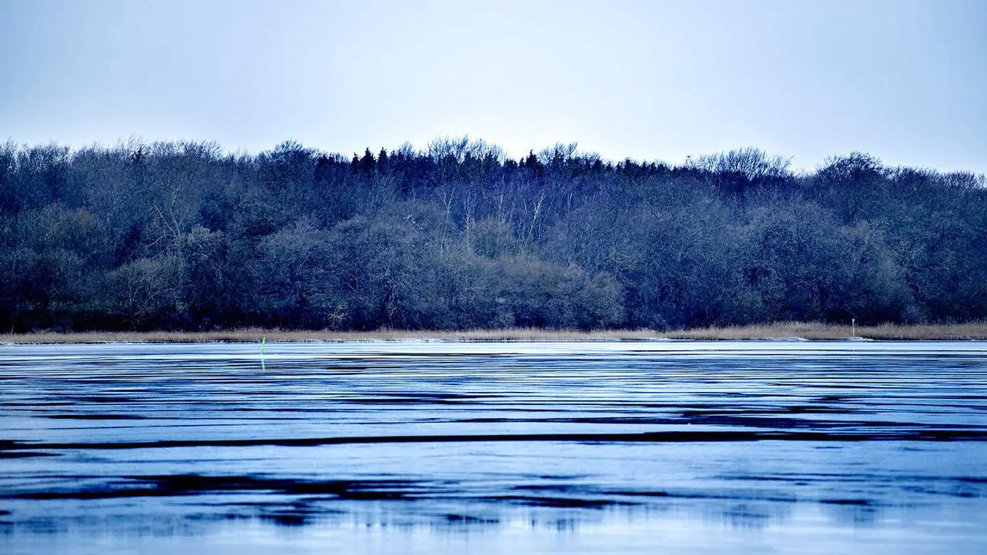 Præstø Fjord er stille i dag. Men for syv år siden væltede bølgerne ind i dragebåden, der kæntrede med de 13 elever og to lærere ombord