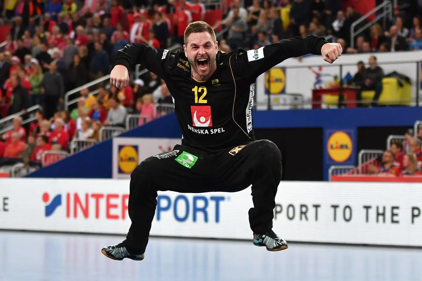 Andreas Palicka spillede en stor kamp mod Danmark.