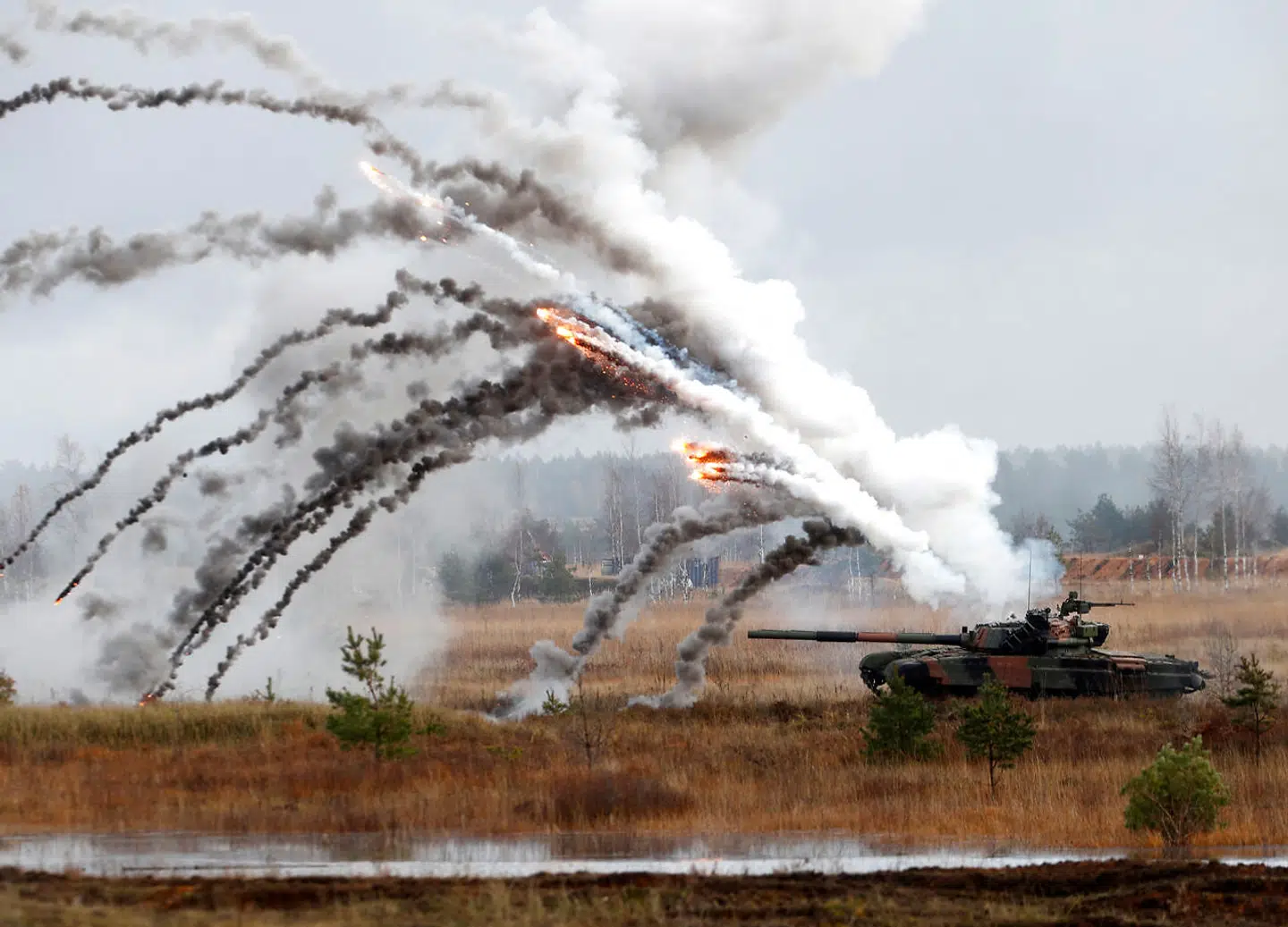 De 29 nato-lande er forpligtet til at forsvare hinanden i tilfælde af, at de skulle blive angrebet. Her ses en polsk tank under Nato-øvelsen Silver Arrow 2017 29. oktober 2017.