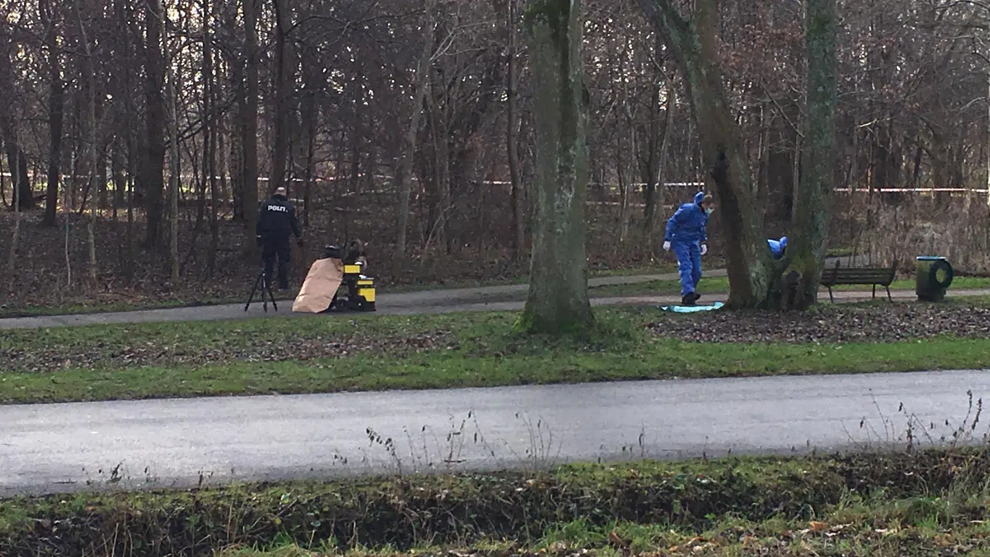 Spædbarnet blev fundet på denne bænk.