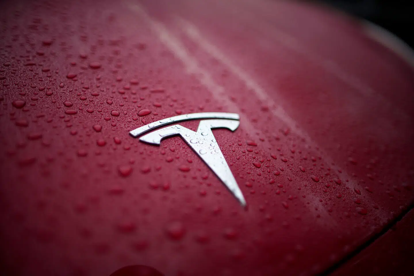 Raindrops gather on the logo of a Tesla Model Y, Thursday, Dec. 15, 2022, in Charlotte, N.C. (AP Photo/Chris Carlson)