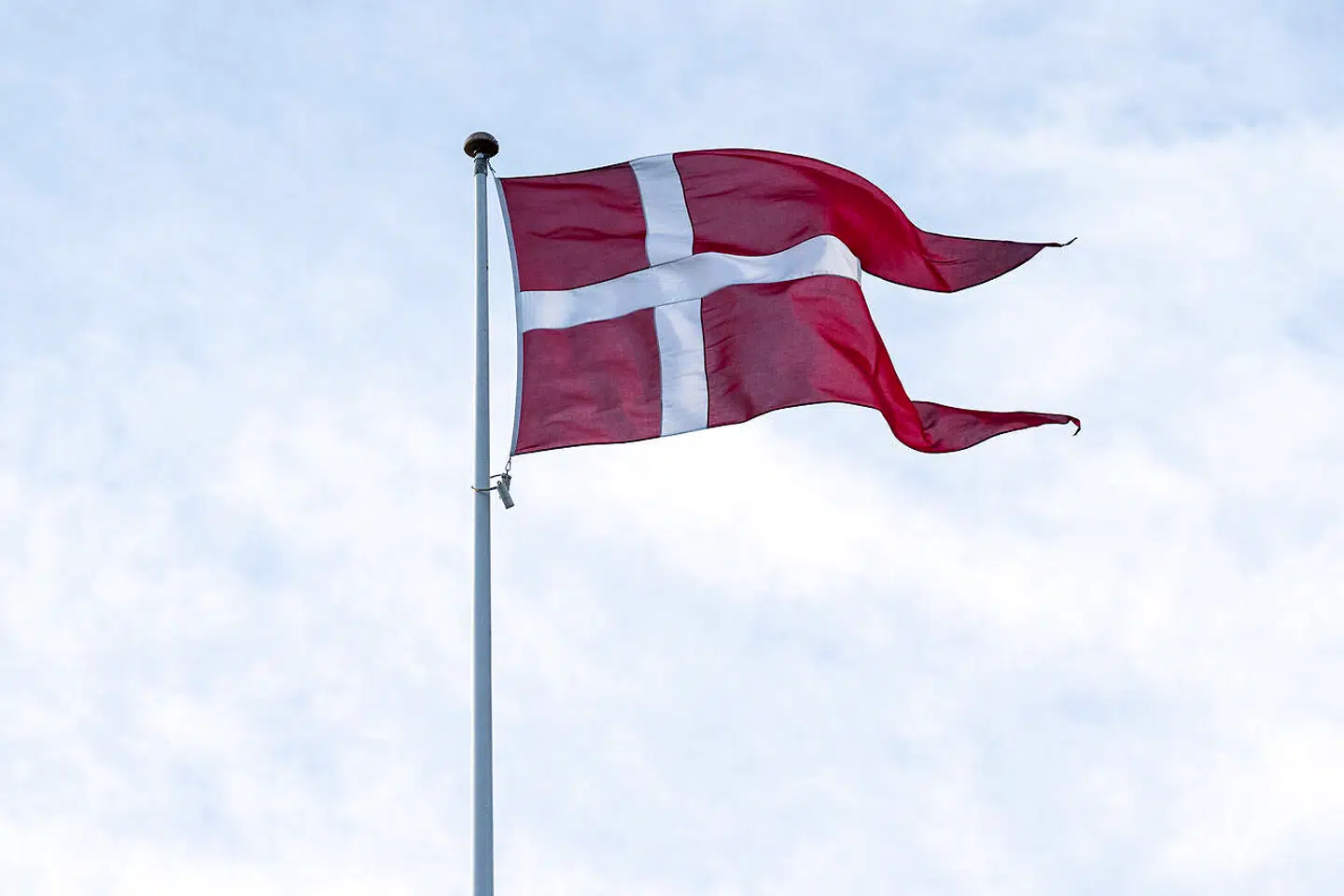 (ARKIV) Danmarks flag Dannebrog blafrer i København, onsdag den 5. februar 2020..Der er færre unge og flere ældre end tidligere, viser nye tal fra Danmarks Statistik. En ændret sammensætning af befolkningen bekymrer Dansk Erhverv. Det skriver Ritzau, tirsdag den 11. februar 2020.. (Foto: Niels Christian Vilmann/Ritzau Scanpix)