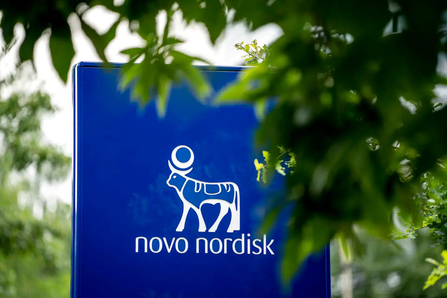 Novo-investorer hæfter sig ved, at kursfaldet kun er et midlertidigt benspænd.