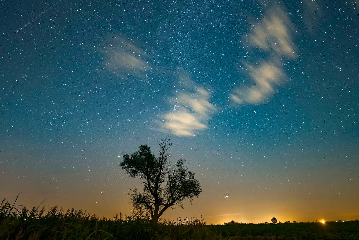 epaselect epa05473100 A shooting star (L, top) is seen on the night sky during the perseid meteor shower in Jankowo, near Poznan, 11 August 2016. The first half of August is traditionally the best time to look out for meteors called 'shooting stars', or perseids which are the leftover dust particles of a comet tail associated with comet Swift-Tuttle. EPA/LUKASZ OGRODOWCZYK POLAND OUT