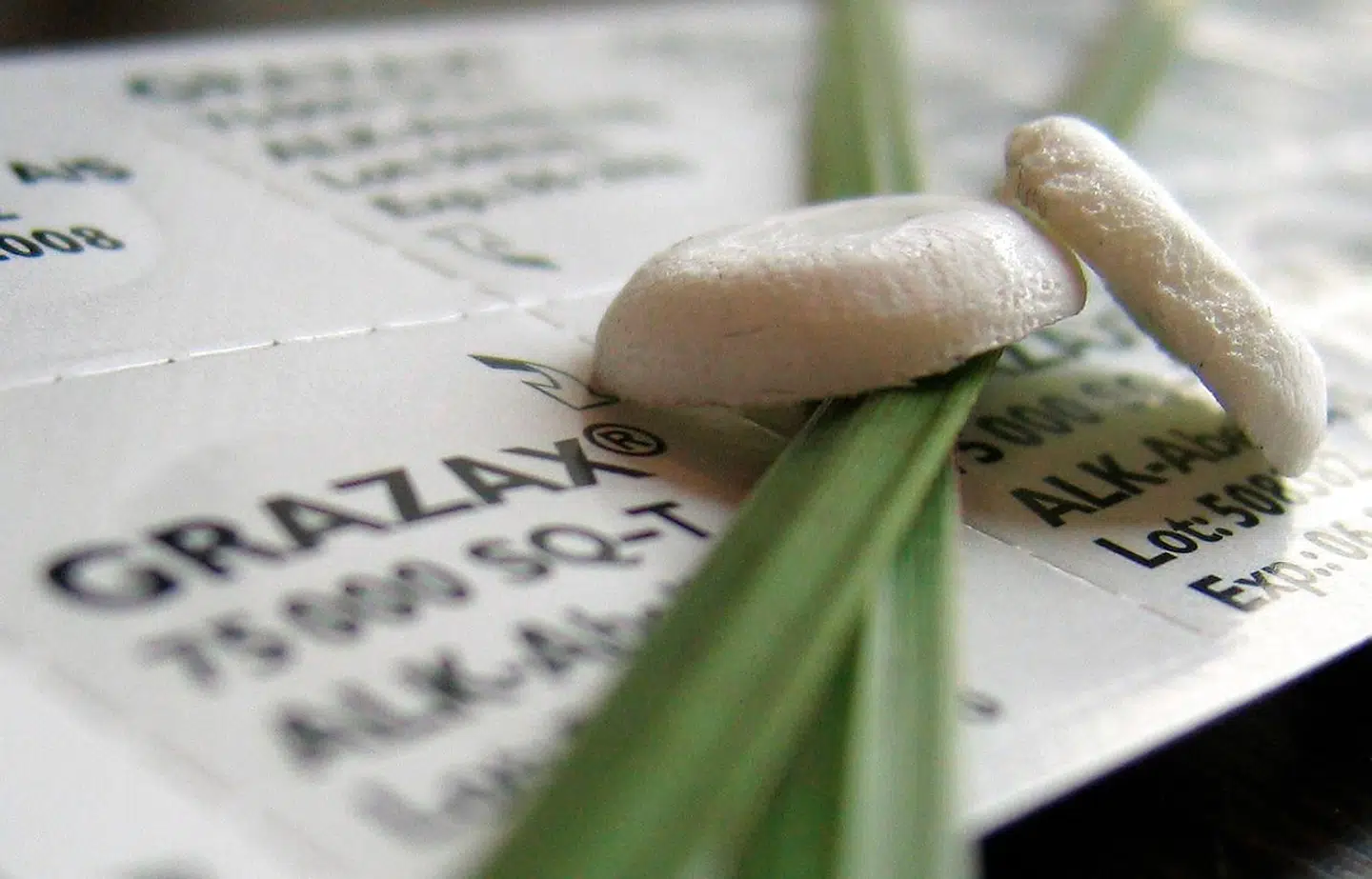 A picture ilustration shows tablet-based vaccine against grass pollen allergy displayed during a news conference in Hamburg January 19, 2007. GRAZAX by Alk-Scherax, a German subsidiary company by Danish pharmaceutical company Alk-Abello, is the World's first allergy tablet to address the underlying cause of grass pollen allergy and not just the symptoms the company says. The medicine is available on prescription at pharmacies in Germany, the United Kingdom, Denmark and Norway. REUTERS/Christian Charisius (GERMANY)