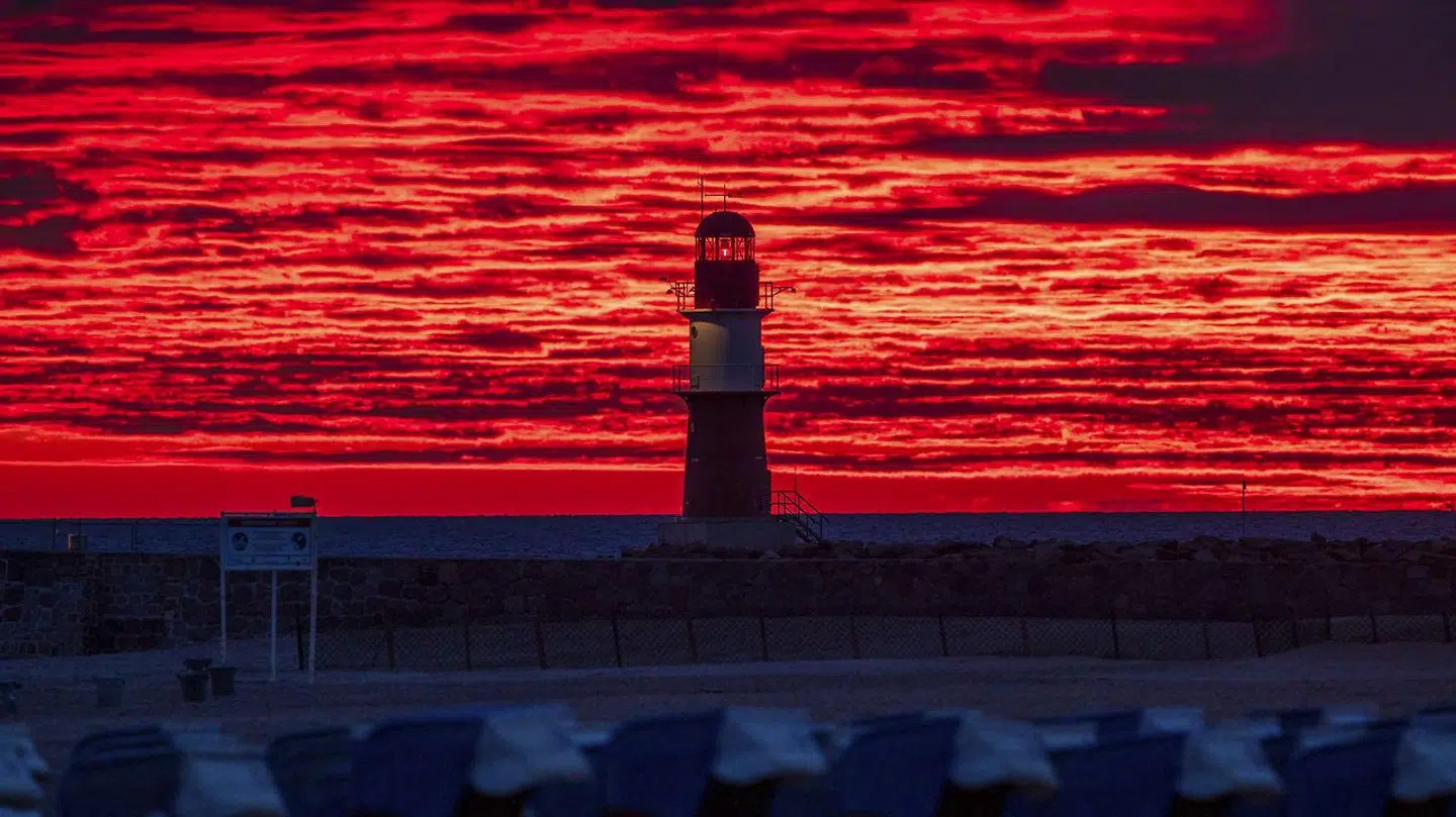 I 2020 stod Ark Invest med sin aktiefond 'Ark Innovation ETF' og sit sats på vækstaktier som et fyrtårn for aktieinvestorer. I 2022 er samtlige aktier i fonden hamret i rødt.