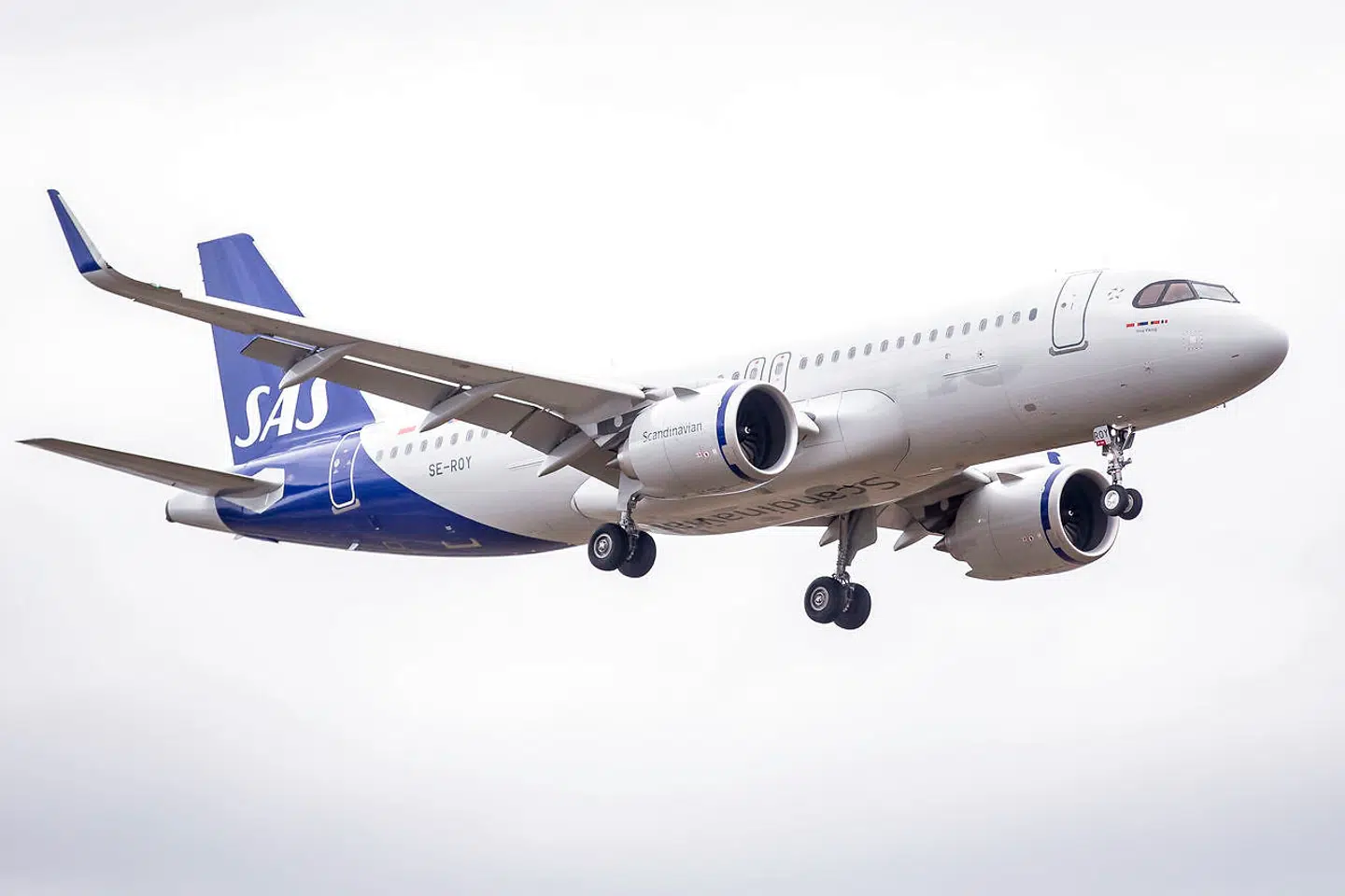 SAS Airbus fotograferet ved Københavns Lufthavn, onsdag den 15. januar 2020.