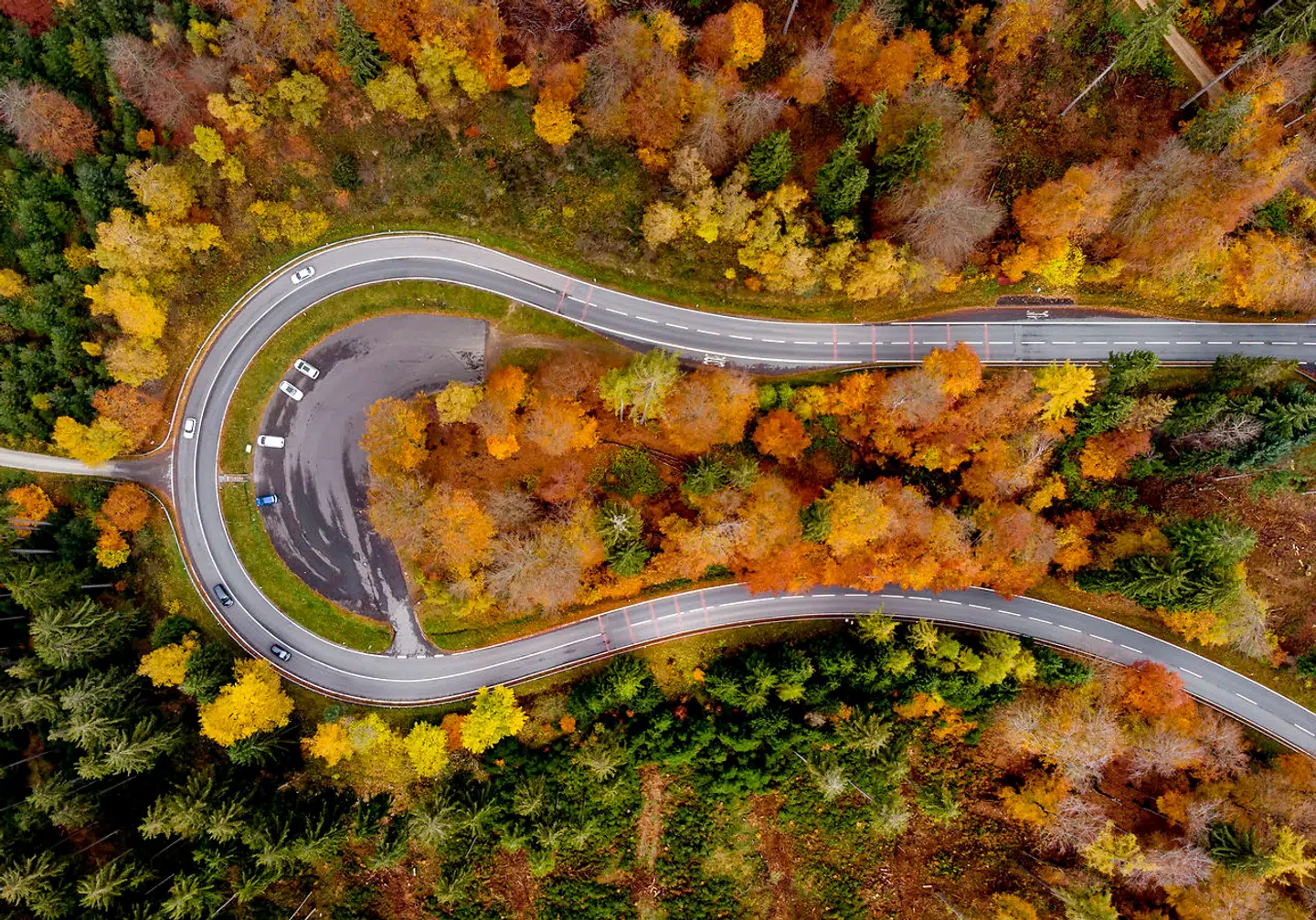 Colorful trees stand near a road through the Taunus region near Frankfurt, Tuesday, Oct. 2, 2021. More than 100 countries are pledging to end deforestation, which scientists say is a major driver of climate change. Britain hailed the commitment as the first big achievement of the United Nations climate conference in Glasgow. (AP Photo/Michael Probst)