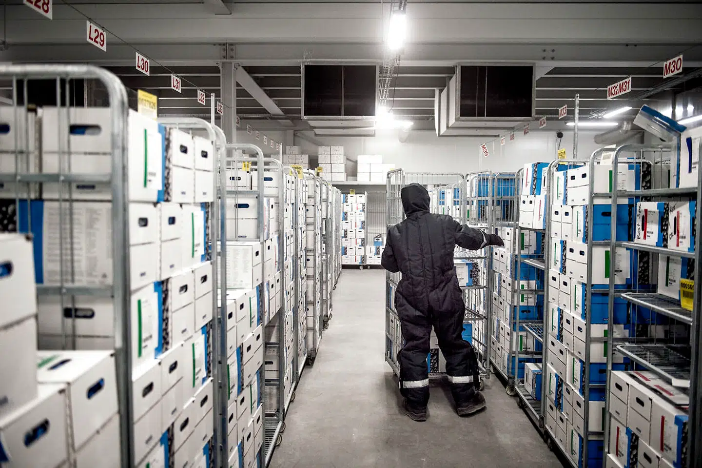 Chr. Hansen er verdens største producent af bakterier, kulturer og enzymer til mejerprodukter, og andre fødevarer.De fleste bakterier fremstilles på selskabets fabrik i Avedøre. Chr. Hansen er lige nu ved at udvide med verdens største tank på 100 tons til formålet. Når bakterierne er fremstillet, bliver de pakket og opbevaret i fryselagre ved -55 grader.