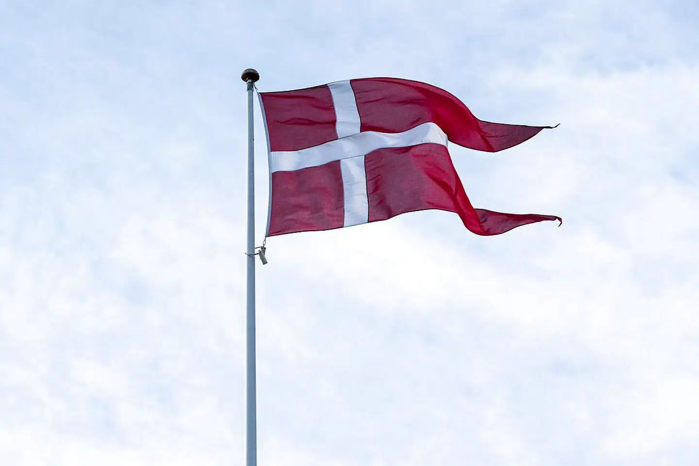 (ARKIV) Danmarks flag Dannebrog blafrer i København, onsdag den 5. februar 2020..Der er færre unge og flere ældre end tidligere, viser nye tal fra Danmarks Statistik. En ændret sammensætning af befolkningen bekymrer Dansk Erhverv. Det skriver Ritzau, tirsdag den 11. februar 2020.. (Foto: Niels Christian Vilmann/Ritzau Scanpix)