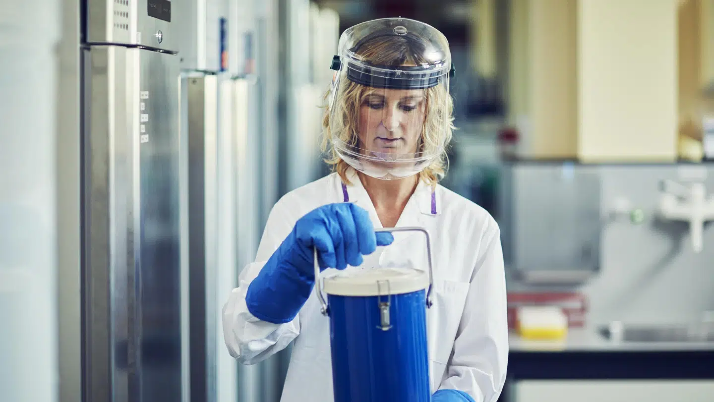 Her ses en Genmab-ansat med flydende nitrogen