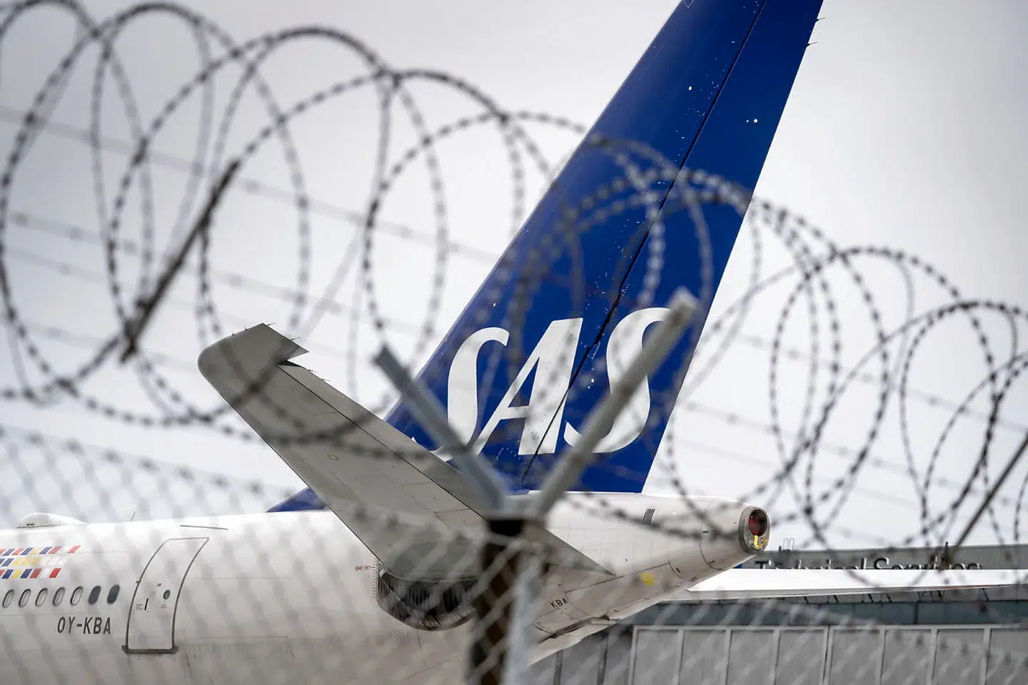 SAS fly holder stille I Københavns Lufthavn, tirsdag den 30. juni 2020.. (Foto: Mads Claus Rasmussen/Ritzau Scanpix)