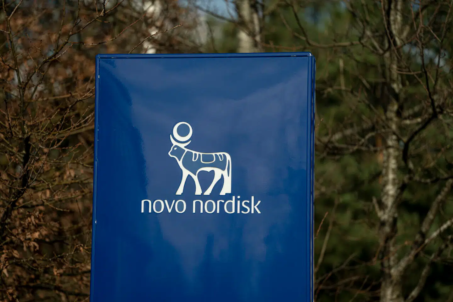 Novo Nordisk fejrer 100 års fødselsdag med et kæmpe banner på hovedsædet i Bagsværd tirsdag den 21. februar 2023. Virksomheden er grundlagt den 16. februar 1923 som Nordisk Insulinlaboratorium (senere Nordisk Gentofte A/S).. (Foto: Liselotte Sabroe/Ritzau Scanpix/Ritzau Scanpix)