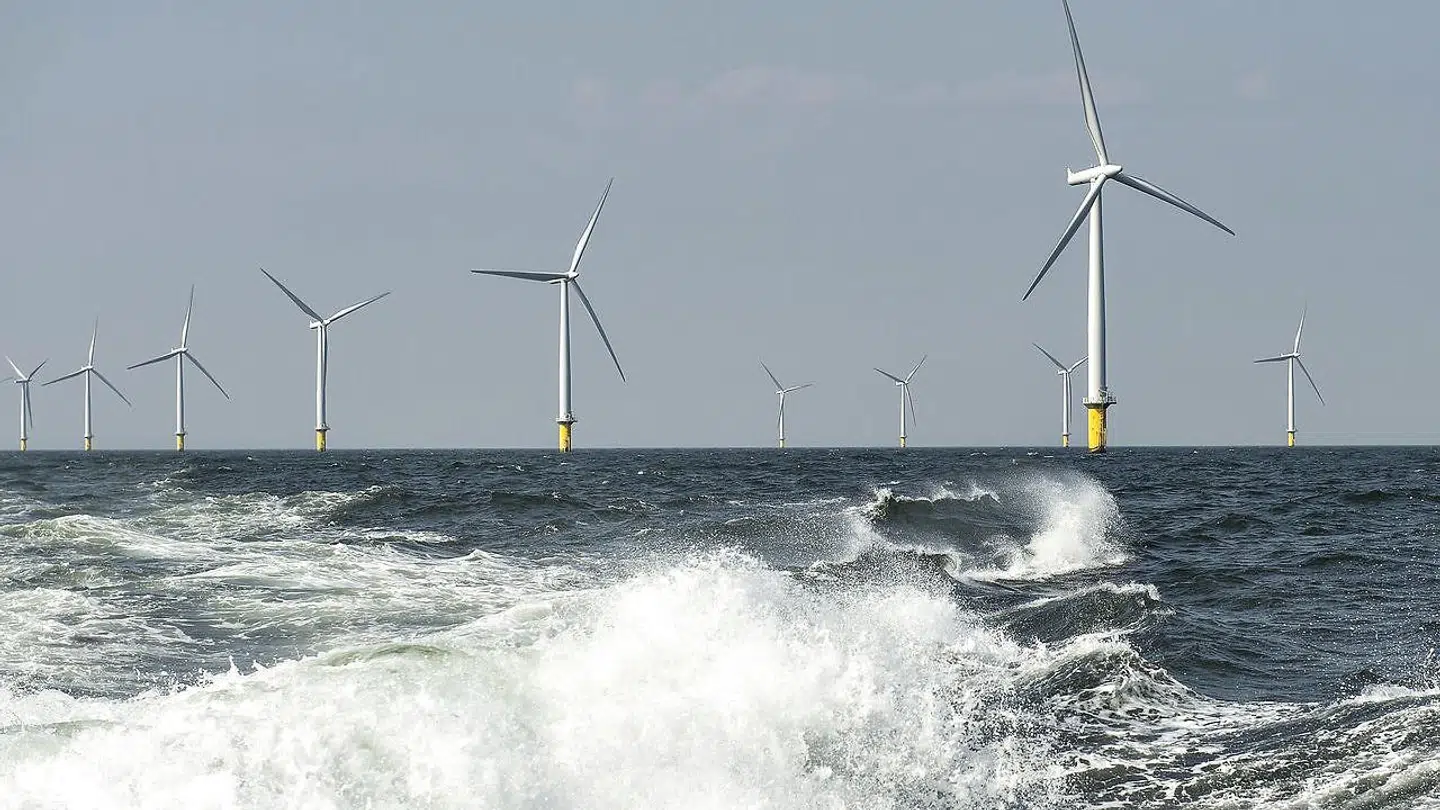 Her ses Ørsted havvindmøllepark Horns Rev 2 i Nordsøen ud for Esbjerg